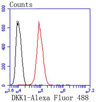 DKK1 Rabbit mAb