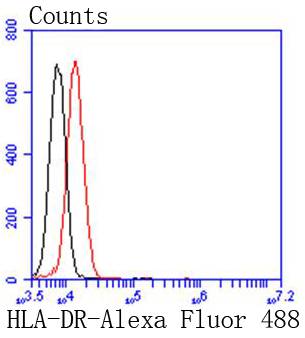 HLA-DR Rabbit mAb