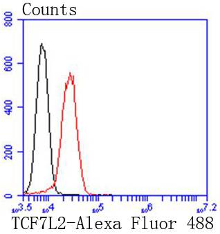 TCF7L2 Rabbit mAb