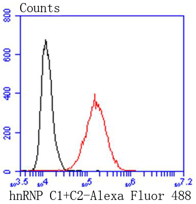 hnRNP C1+C2 Rabbit mAb