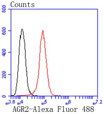 AGR2 Rabbit mAb