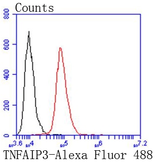 TNFAIP3 Rabbit mAb