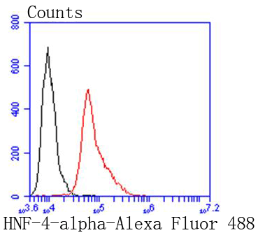 HNF-4-alpha Rabbit mAb