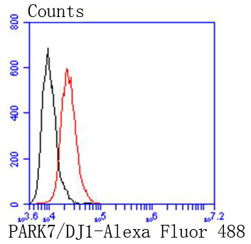 PARK7/DJ1 Rabbit mAb