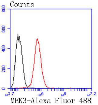 MEK3 Rabbit mAb