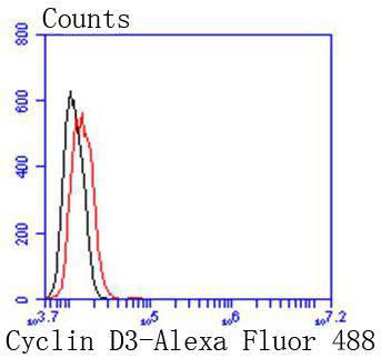 Cyclin D3 Rabbit mAb