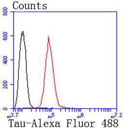 Tau Rabbit mAb