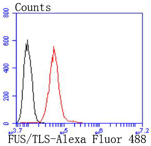 FUS/TLS Rabbit mAb