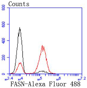 Fatty Acid Synthase Rabbit mAb