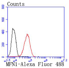 Mitofusin 1 Rabbit mAb