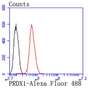 Peroxiredoxin 1 Rabbit mAb