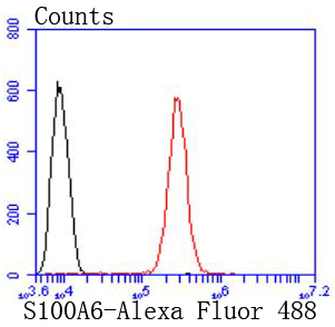 S100 alpha 6 Rabbit mAb