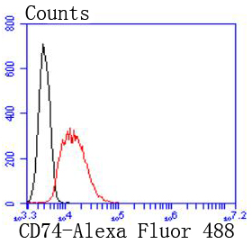 CD74 Rabbit mAb