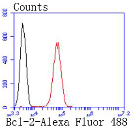 Bcl-2 Rabbit mAb