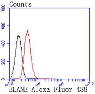 Neutrophil Elastase Rabbit mAb