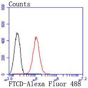 58K Golgi protein Rabbit mAb