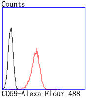 CD59 Rabbit mAb