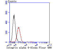 Integrin alpha 4 Rabbit mAb