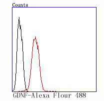 GDNF Rabbit mAb