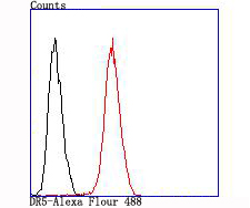 DR5 Rabbit mAb