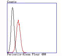 Periostin Rabbit mAb