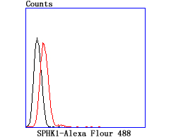 SPHK1 Rabbit mAb