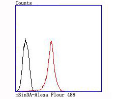 mSin3A Rabbit mAb