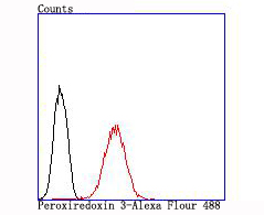 Peroxiredoxin 3 Rabbit mAb