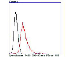 Cytochrome P450 2D6 Rabbit mAb