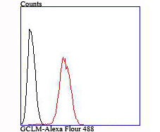 GCLM Rabbit mAb