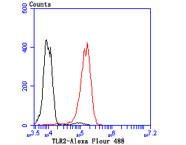 TLR2 Rabbit mAb