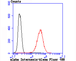 alpha Internexin Rabbit mAb