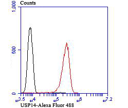 Usp14 Rabbit mAb