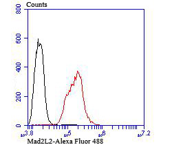 Mad2L2 Rabbit mAb