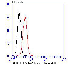 SCGB1A1 Rabbit mAb