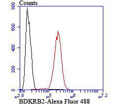 BDKRB2 Rabbit mAb