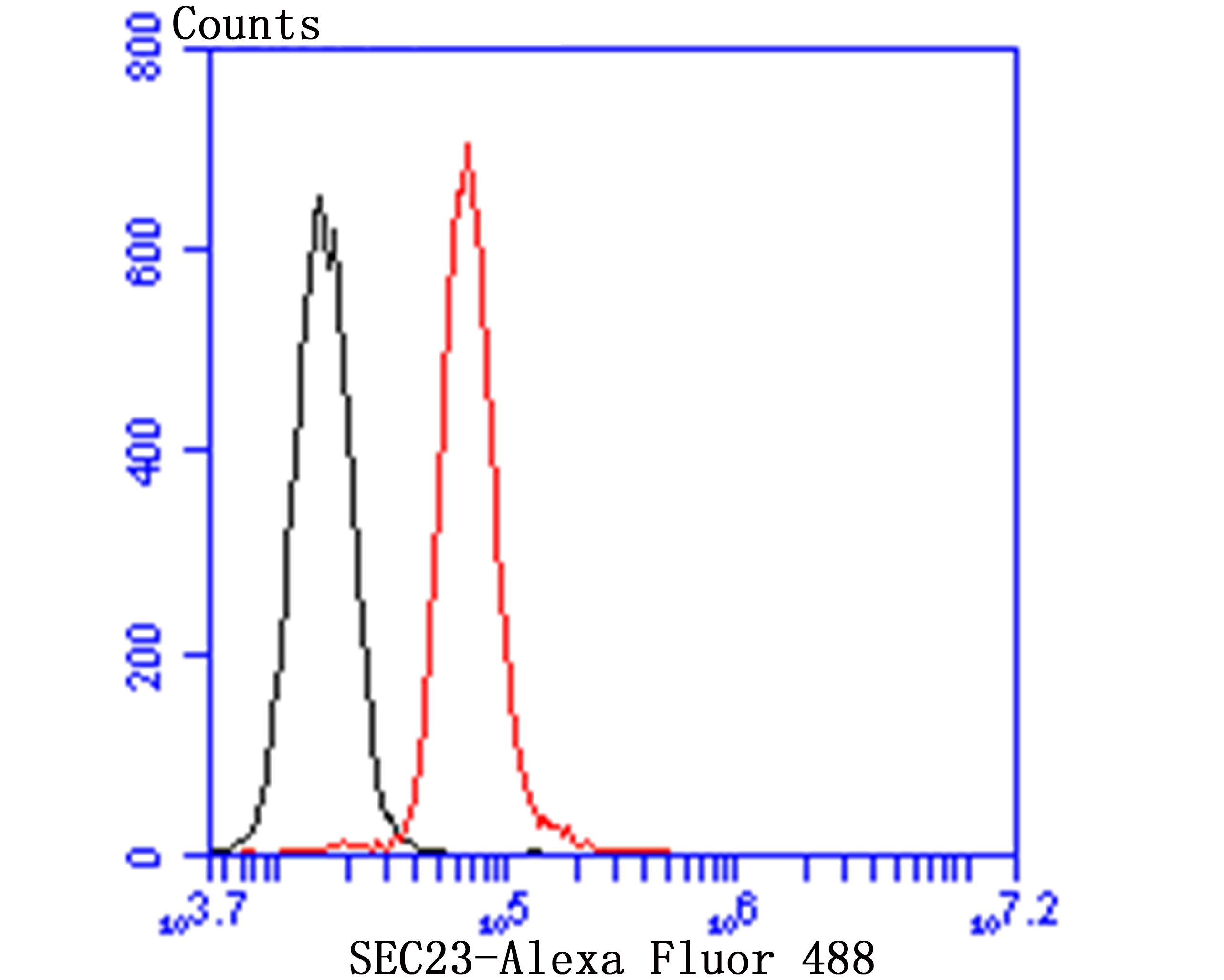 SEC23 Rabbit mAb