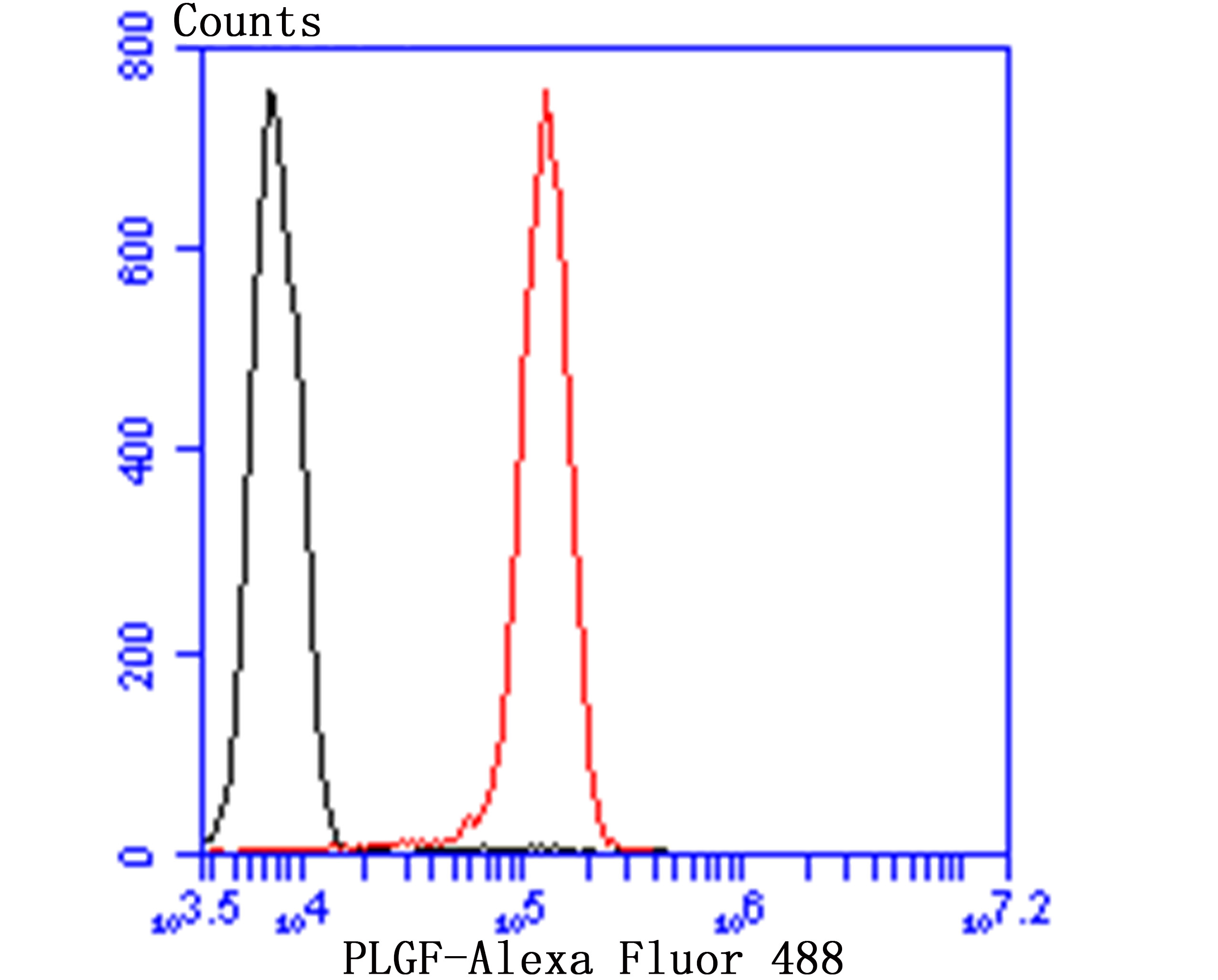 Coilin Rabbit mAb