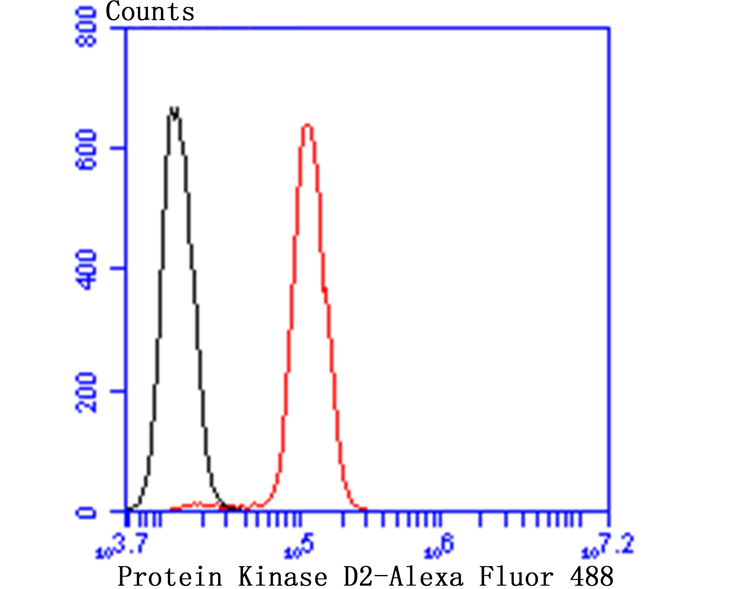 Protein Kinase D2 Rabbit mAb