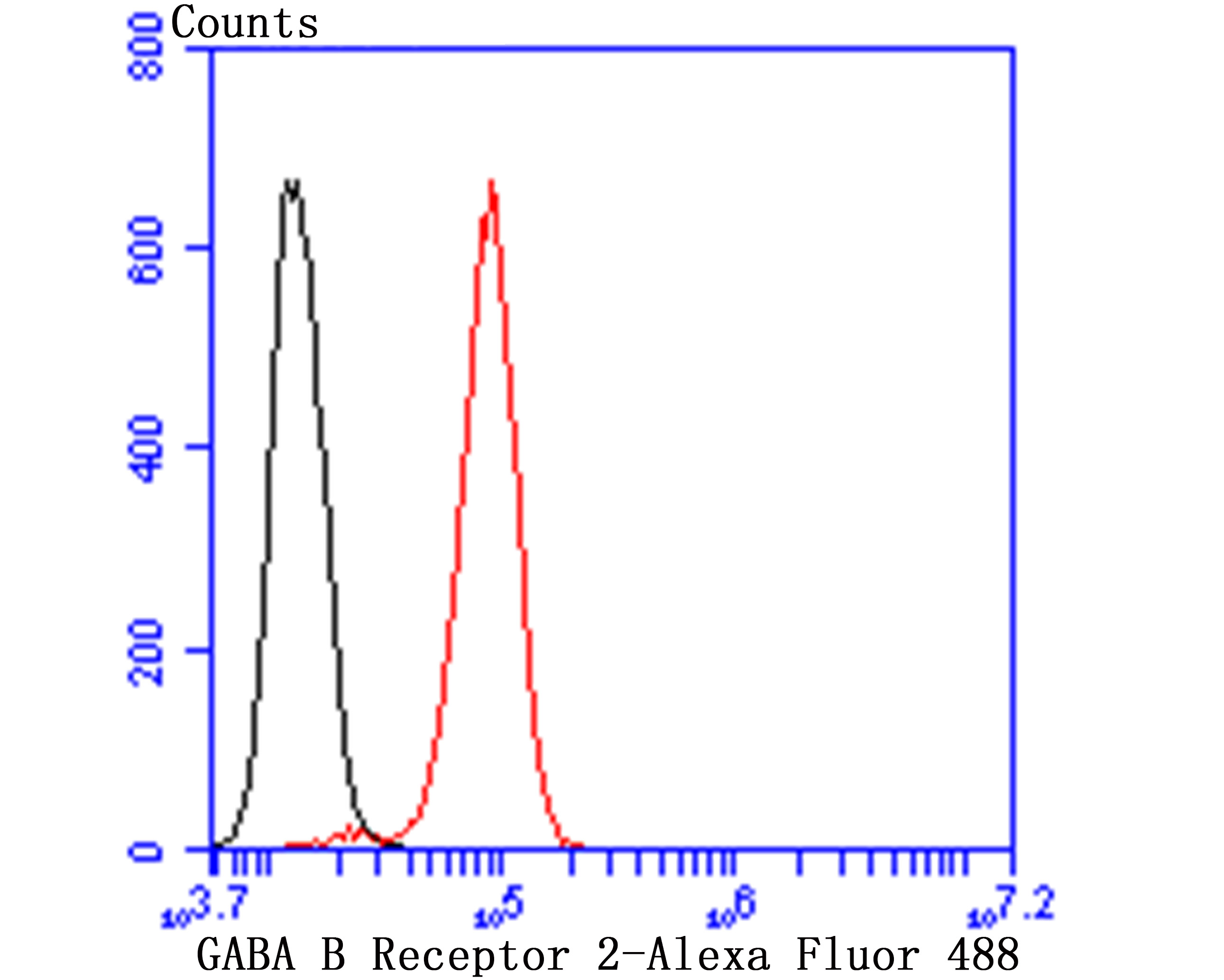 GABA B Receptor 2 Rabbit mAb