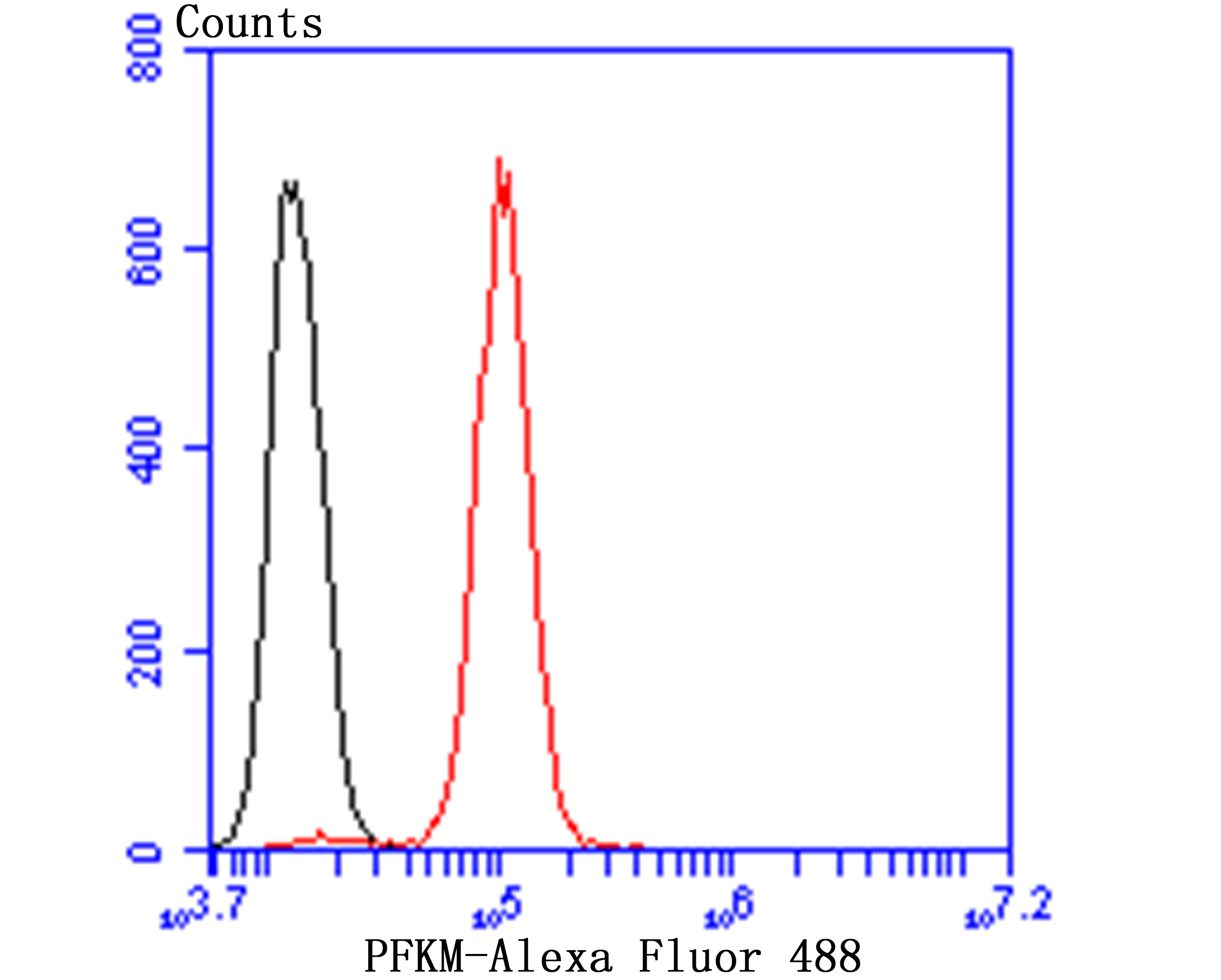 Fructose 6 Phosphate Kinase Rabbit mAb