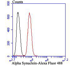 Alpha Synuclein Rabbit mAb