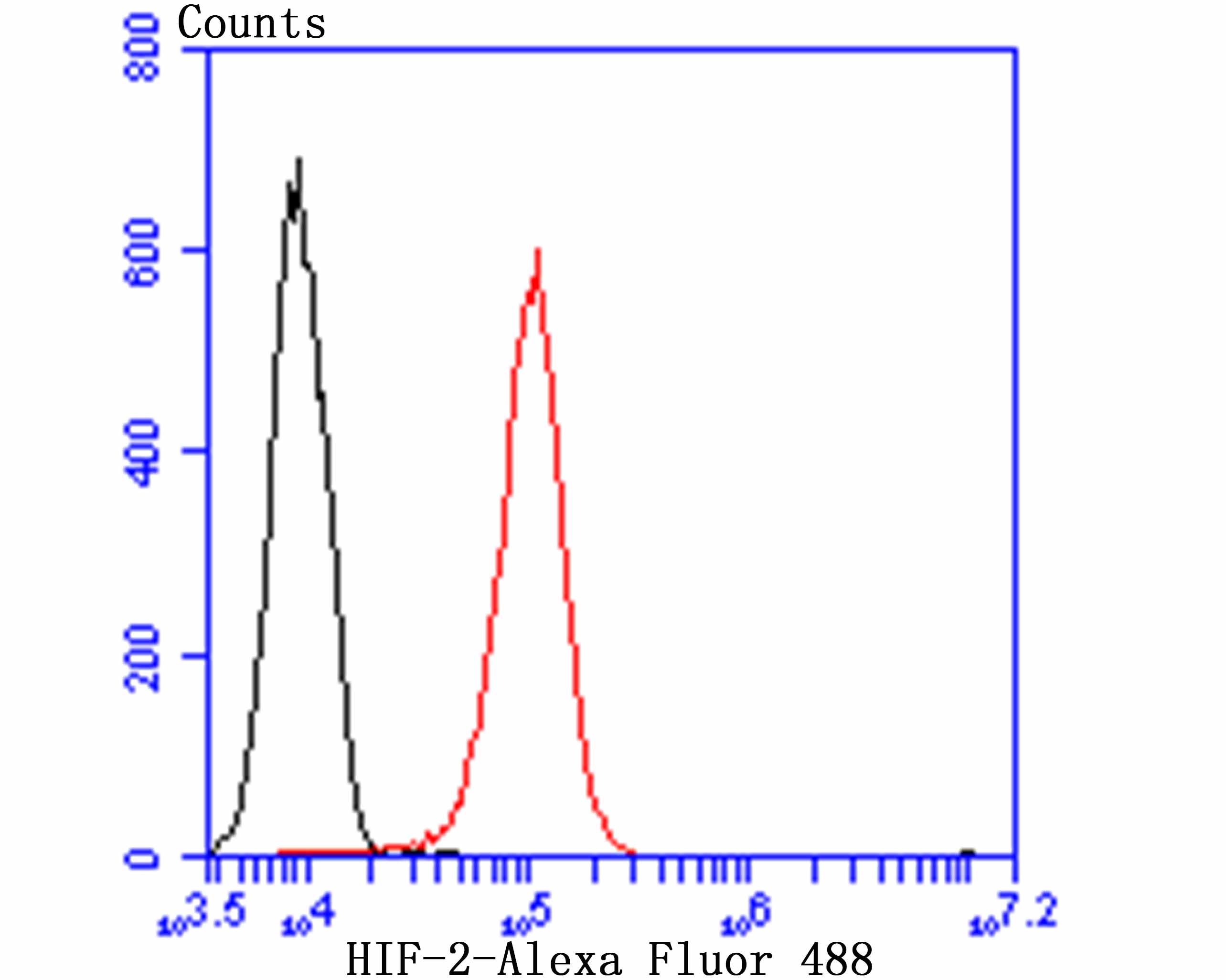 HIF-2 alpha Rabbit mAb