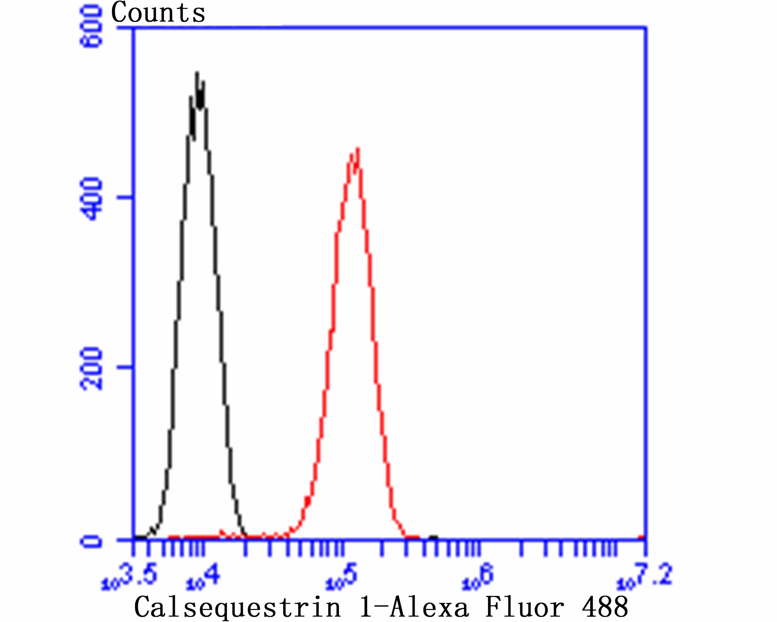 Calsequestrin 1 Rabbit mAb