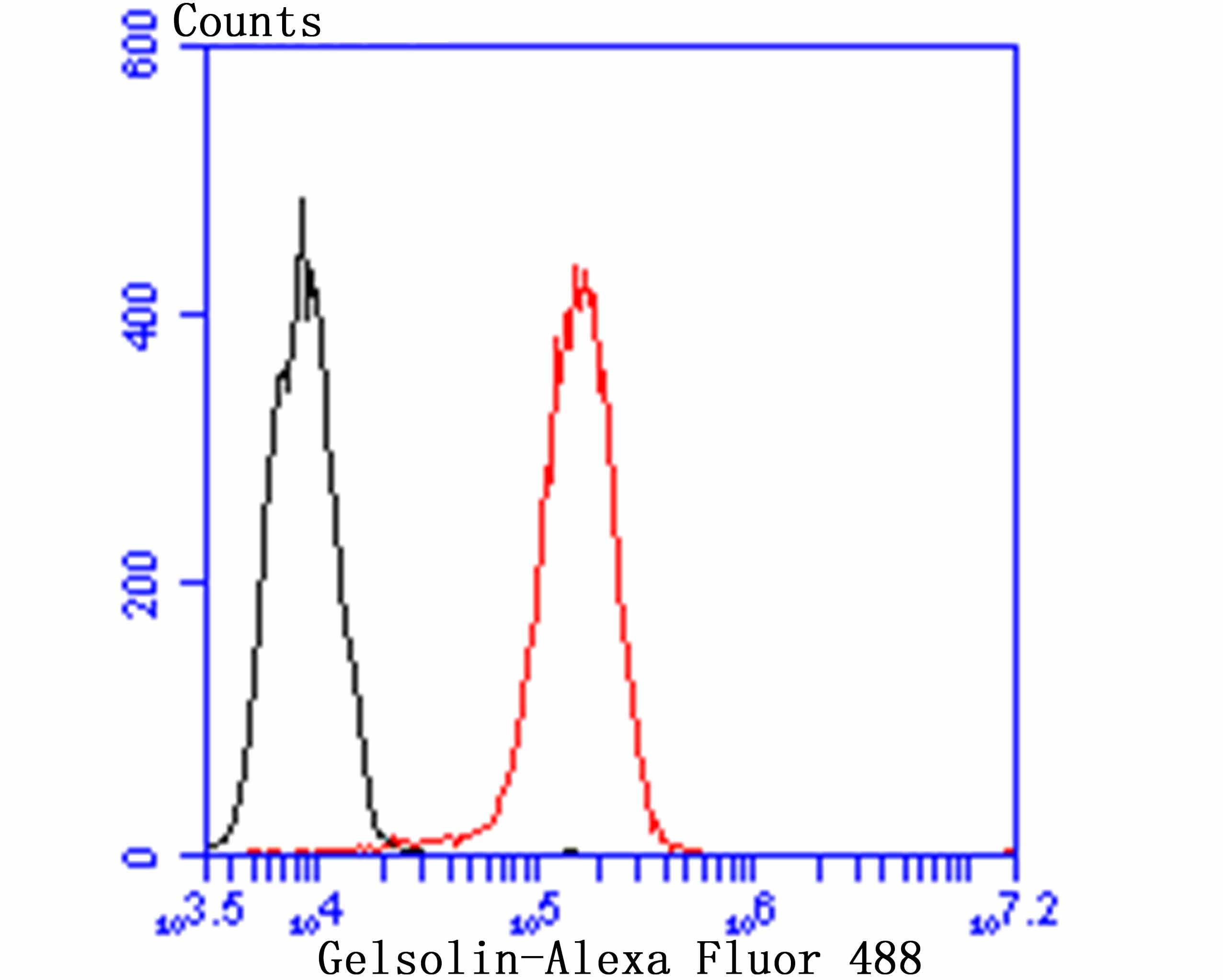 Gelsolin Rabbit mAb