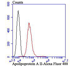 Apolipoprotein A II Rabbit mAb