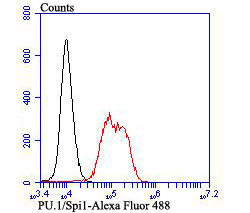 PU.1/Spi1 Rabbit mAb