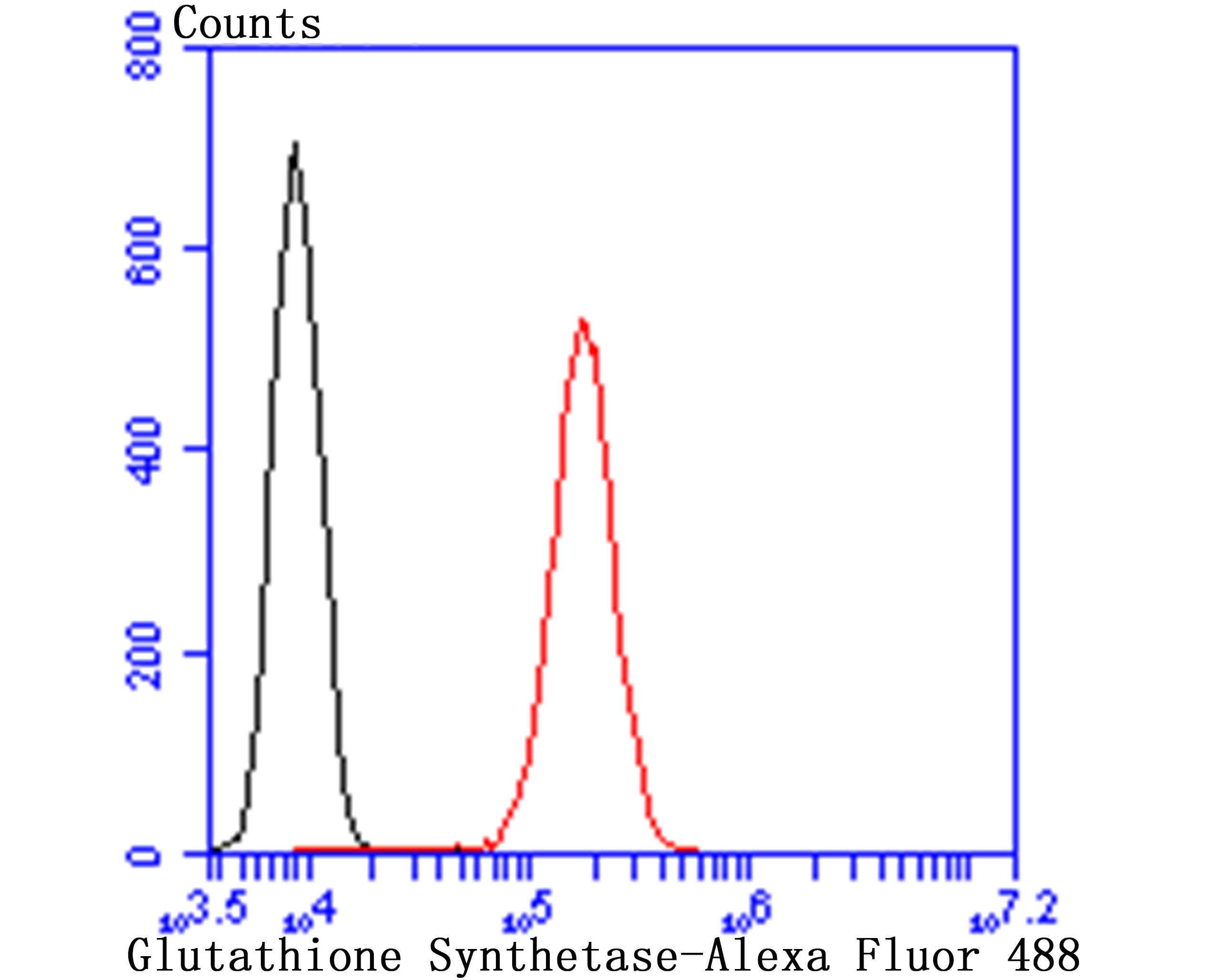 Glutathione Synthetase Rabbit mAb