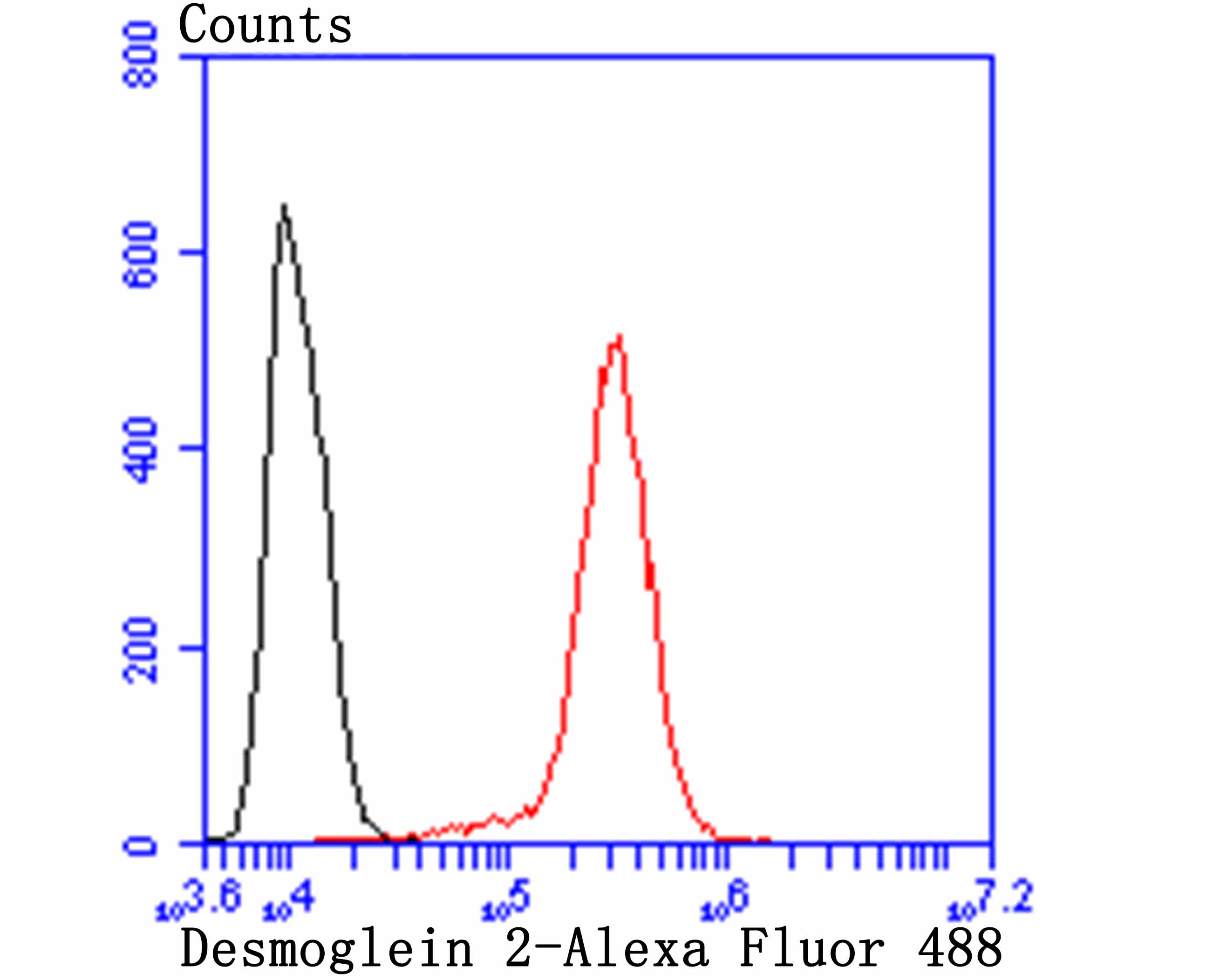 Desmoglein 2 Rabbit mAb