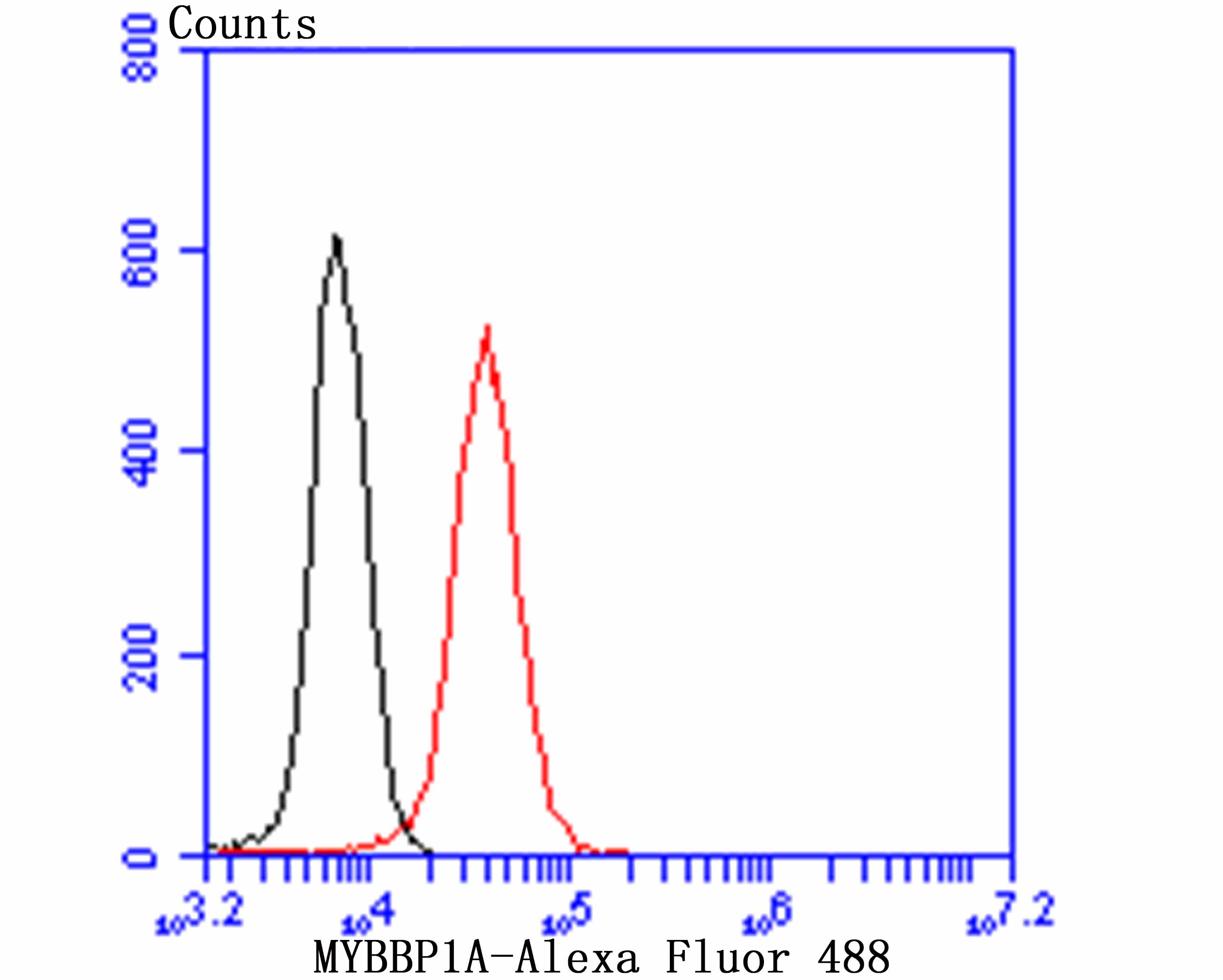 MYBBP1A Rabbit mAb